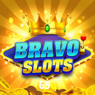 Premium Interface 65q