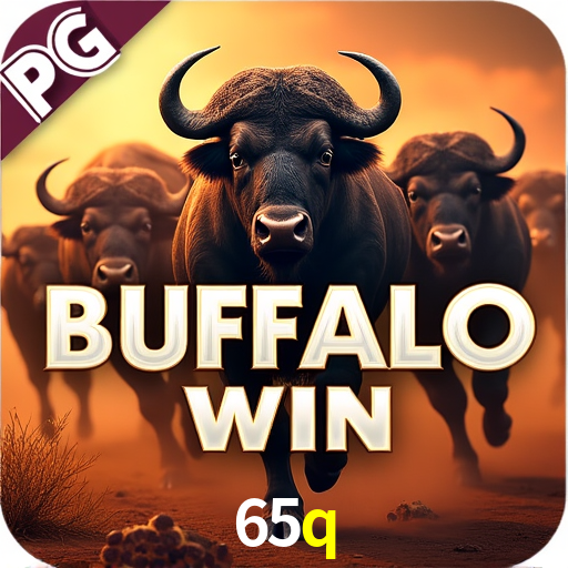 Experiência VIP 65q